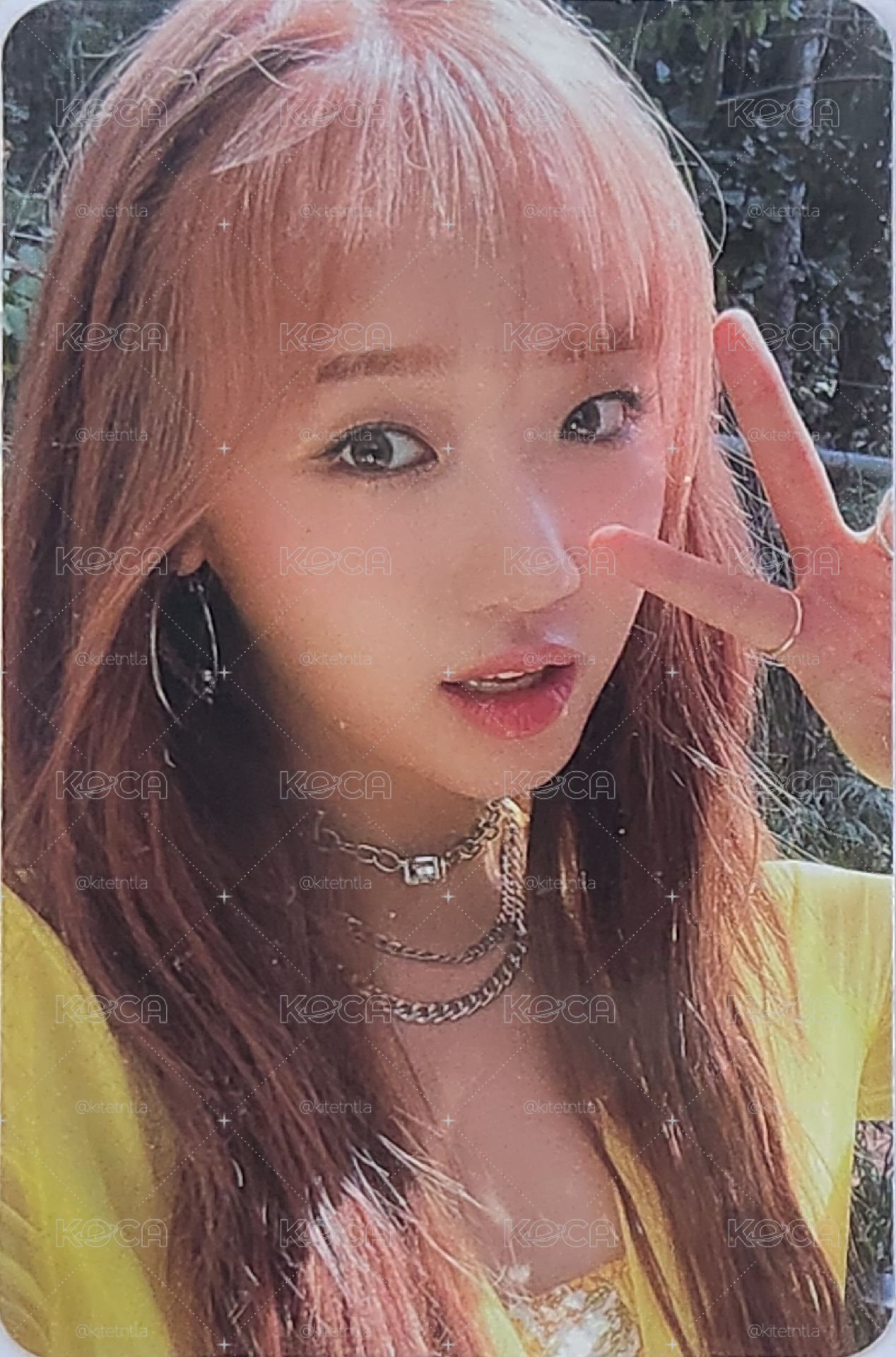 磪有情 최유정 [Sunflower] 專卡