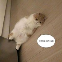 Rani⚠️請看個人簡介