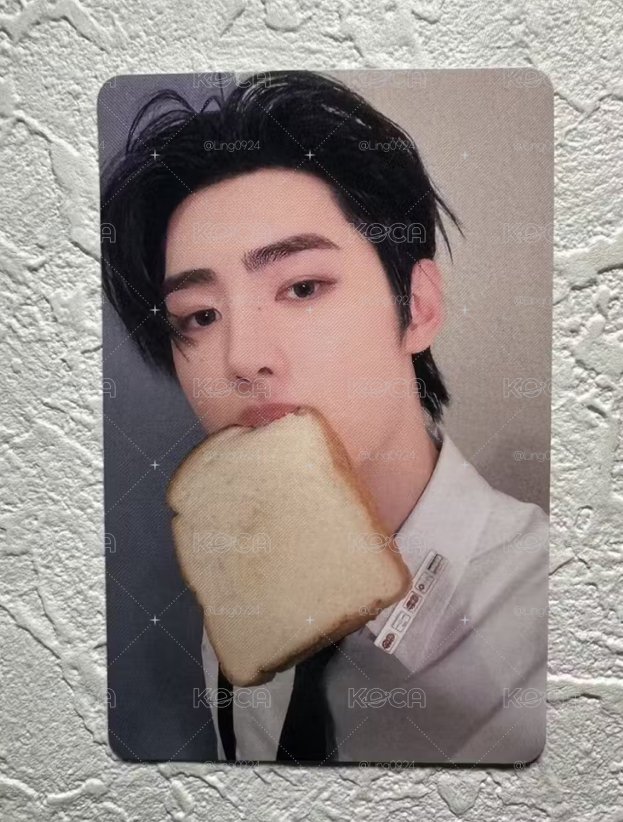 吐司訓🍞