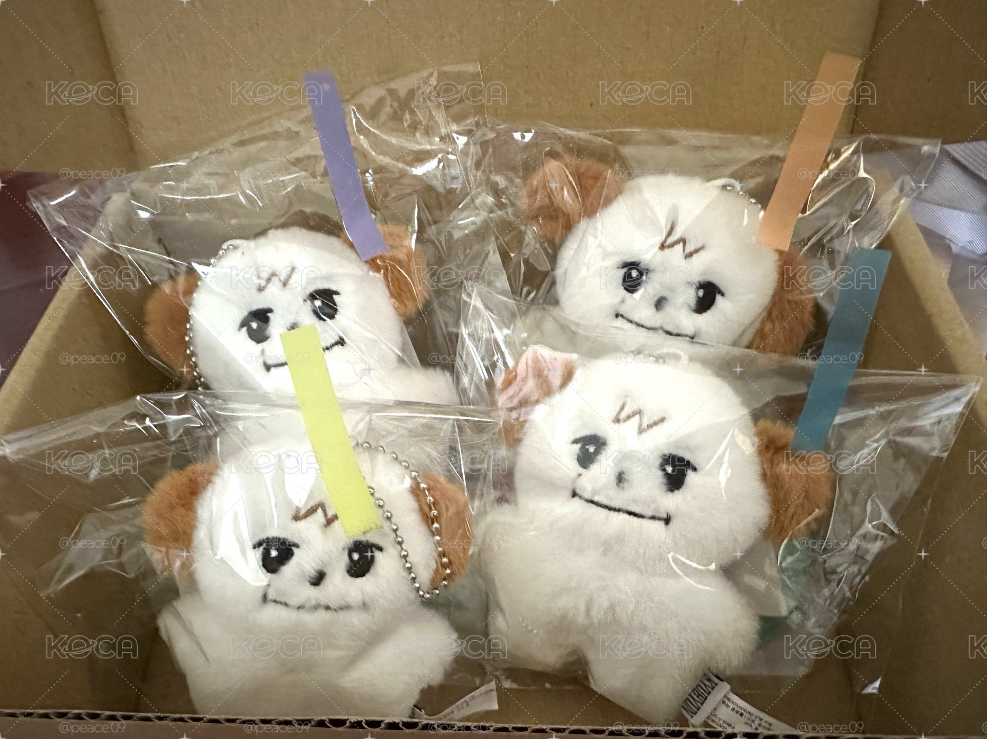 圭咩 白糖圭