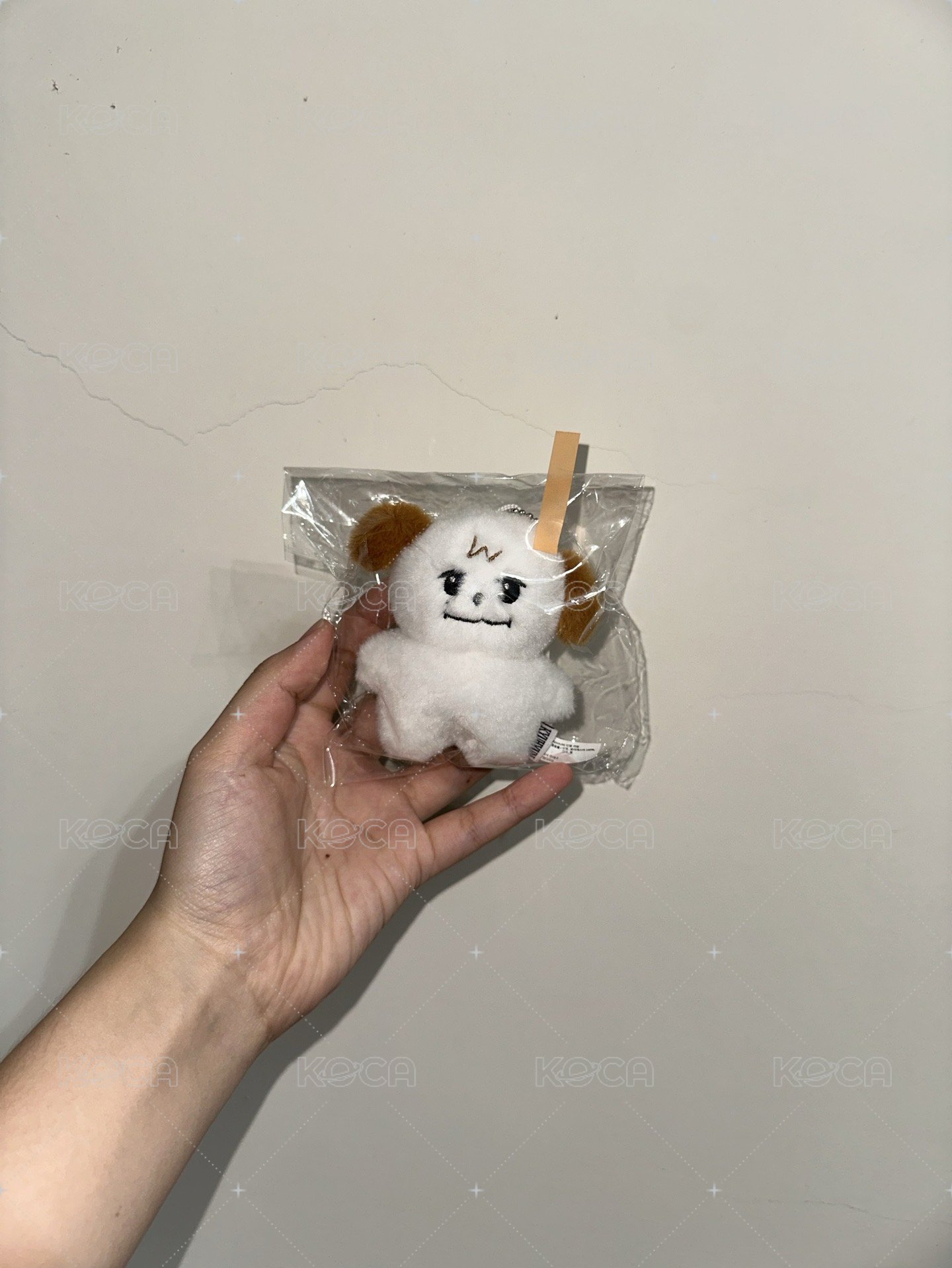 橘標