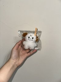 橘標