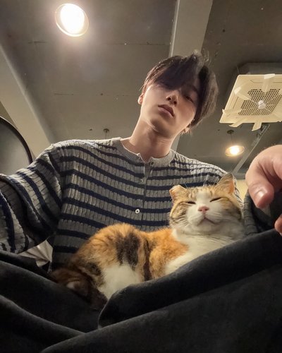 🐈傘-1區 各時期卡卡（5/28更新）