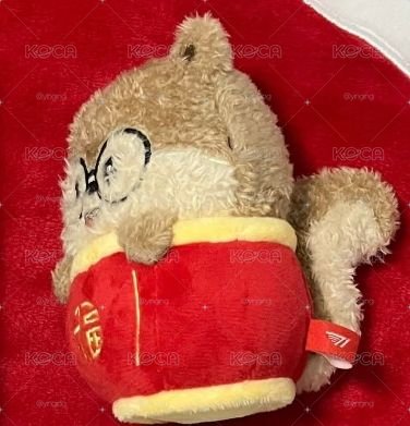 Doran新春娃