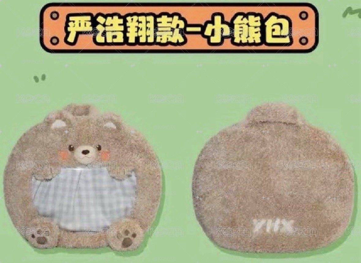 背了就是演唱會現場最閃亮的存在