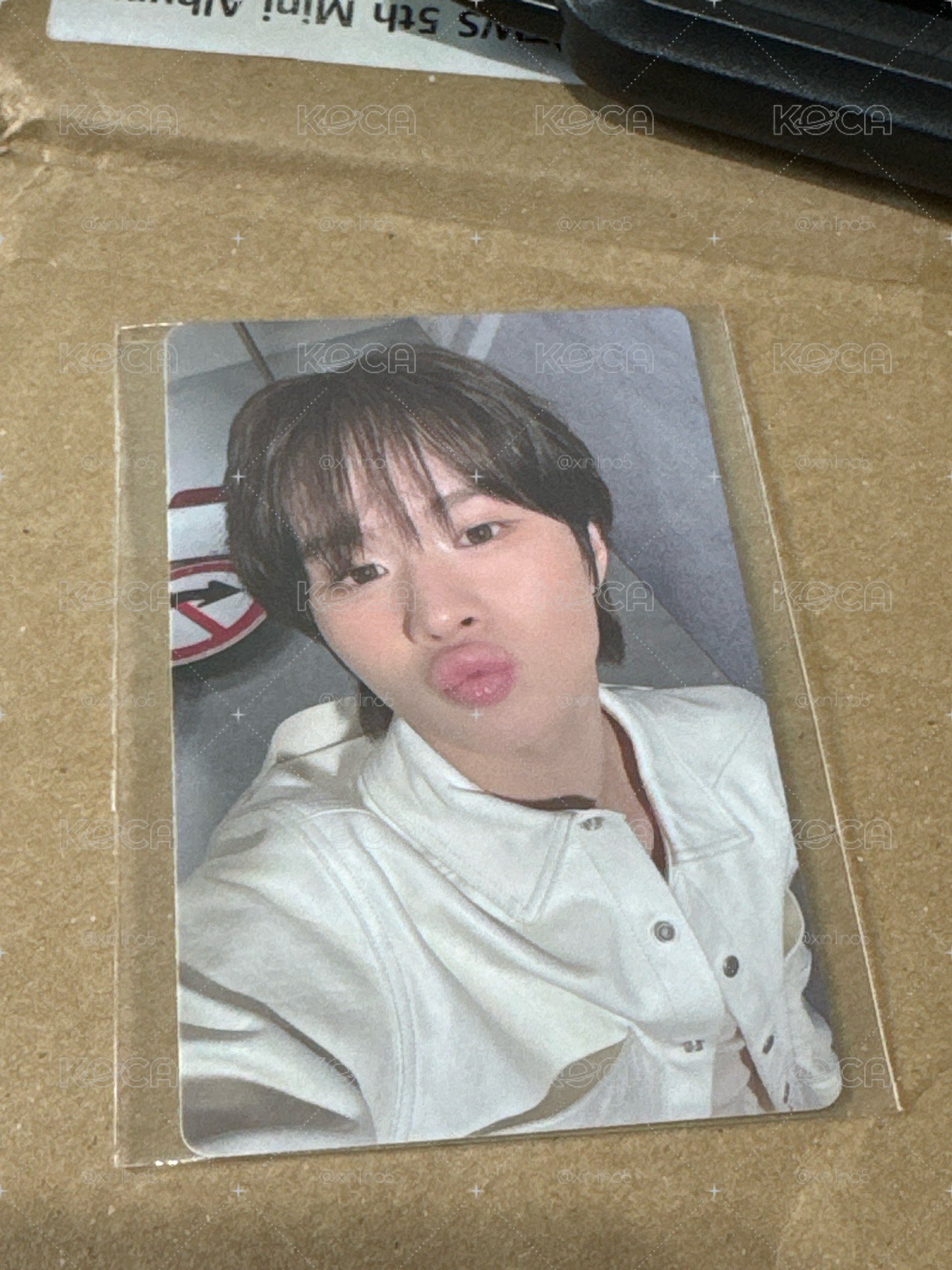 迷五 wvs簽售卡 炅潣