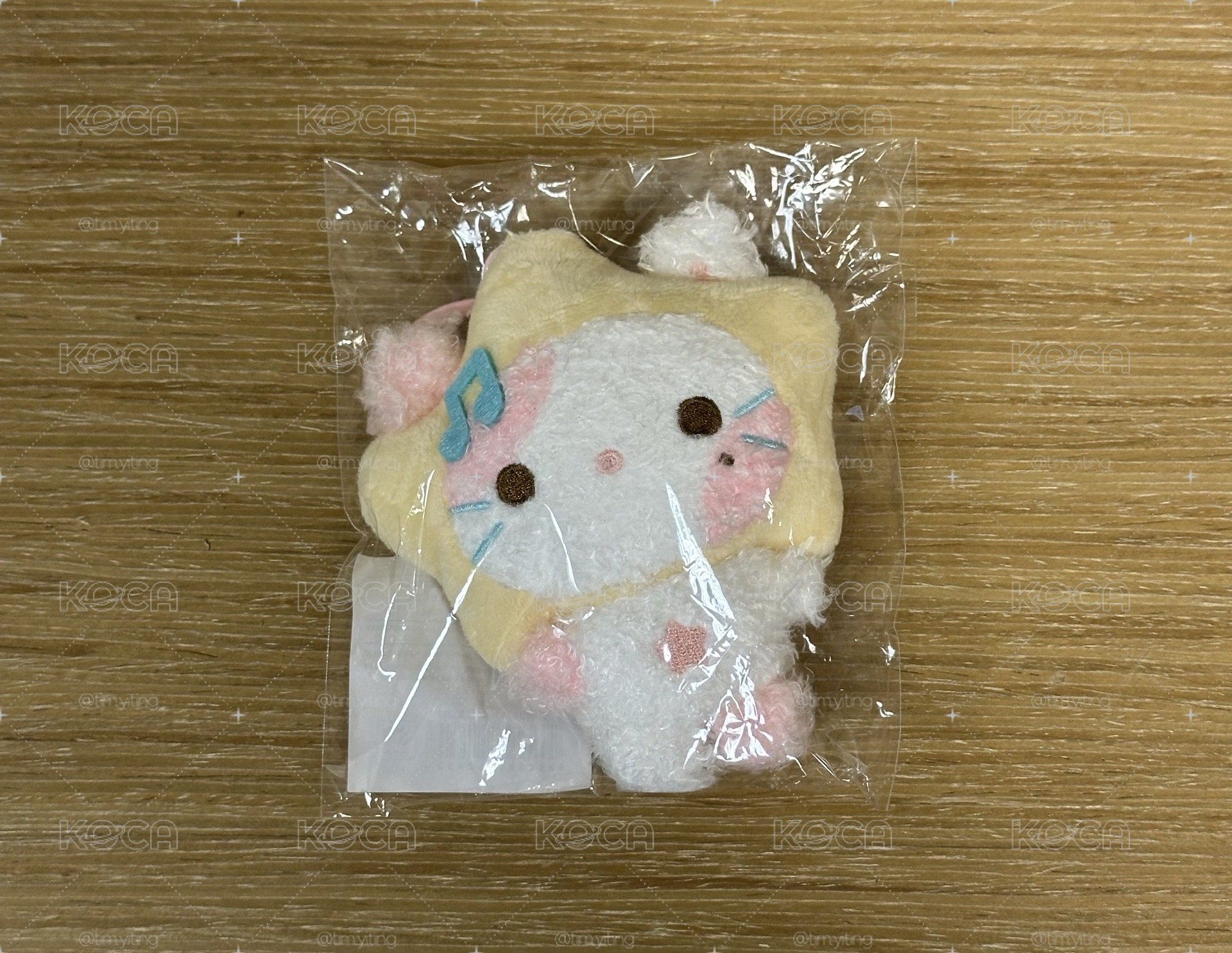 現貨Stella娃