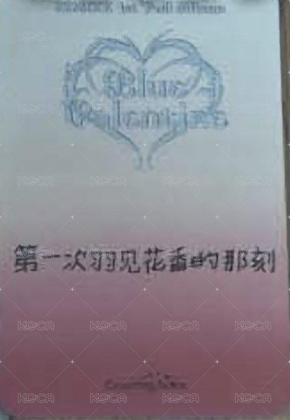 正規一 數星星 5.0 簽售卡 蘋果 ver. 背面
