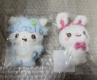 兩隻一起