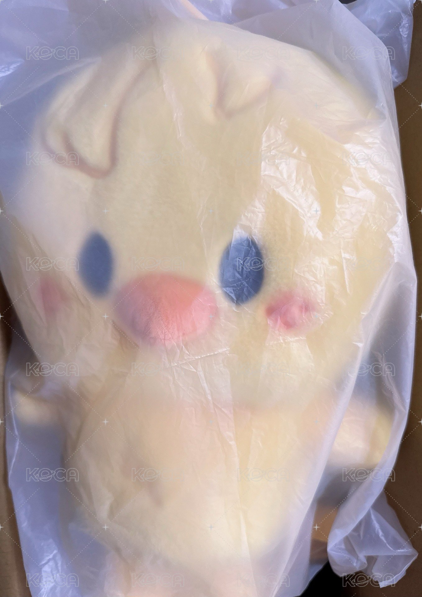 菲 後背包（無背包卡）