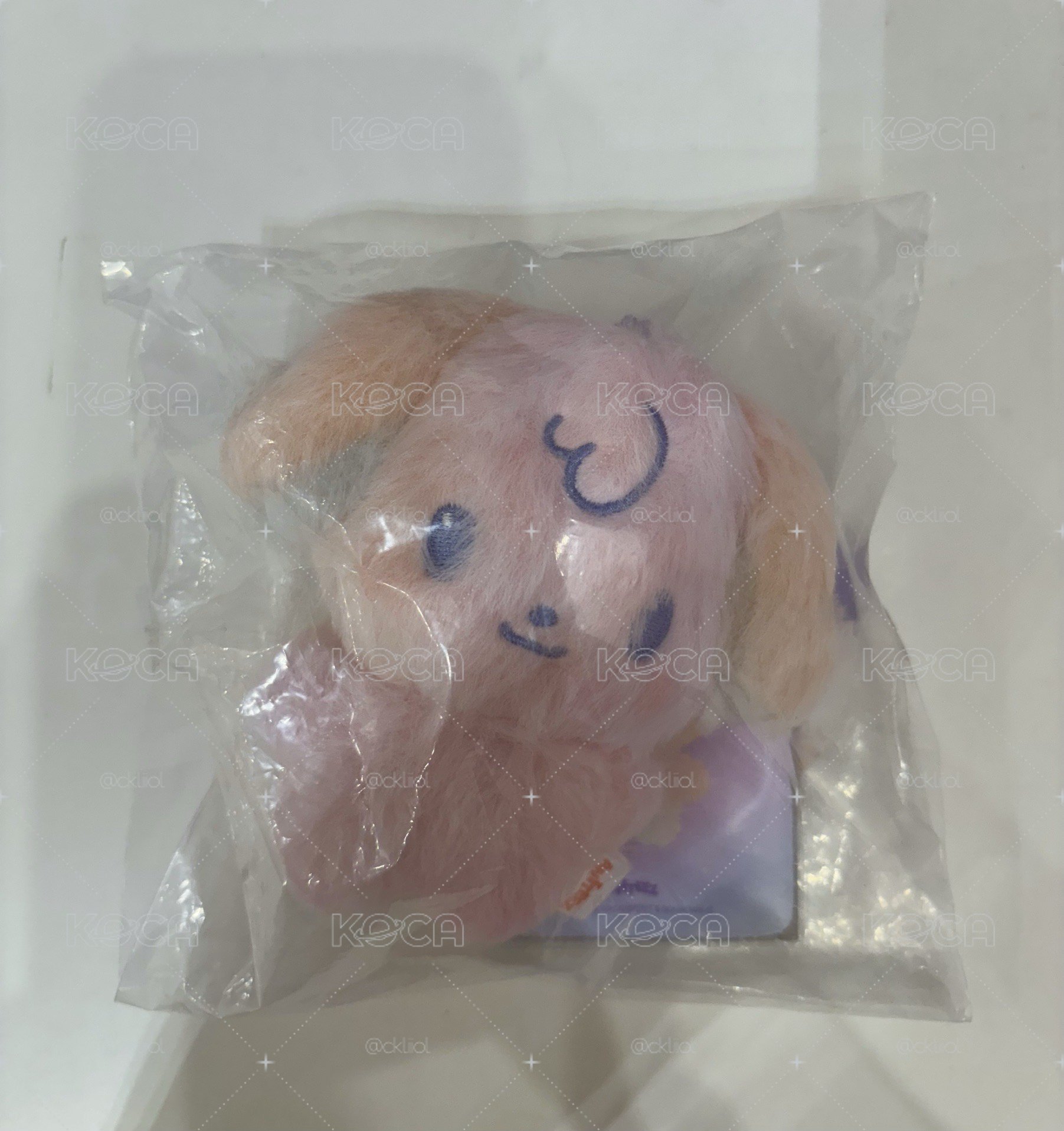 草莓柑橘小狗