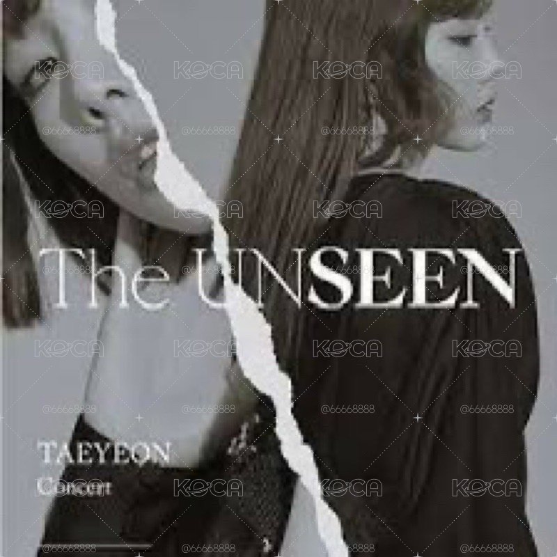 少女時代 太妍 演唱會場刊the unseen 寫真書 taeyeon