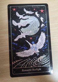starlight塔羅一張