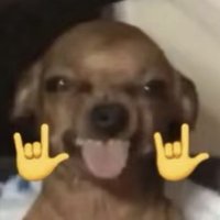 kuo