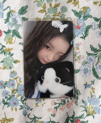 黑貓升注