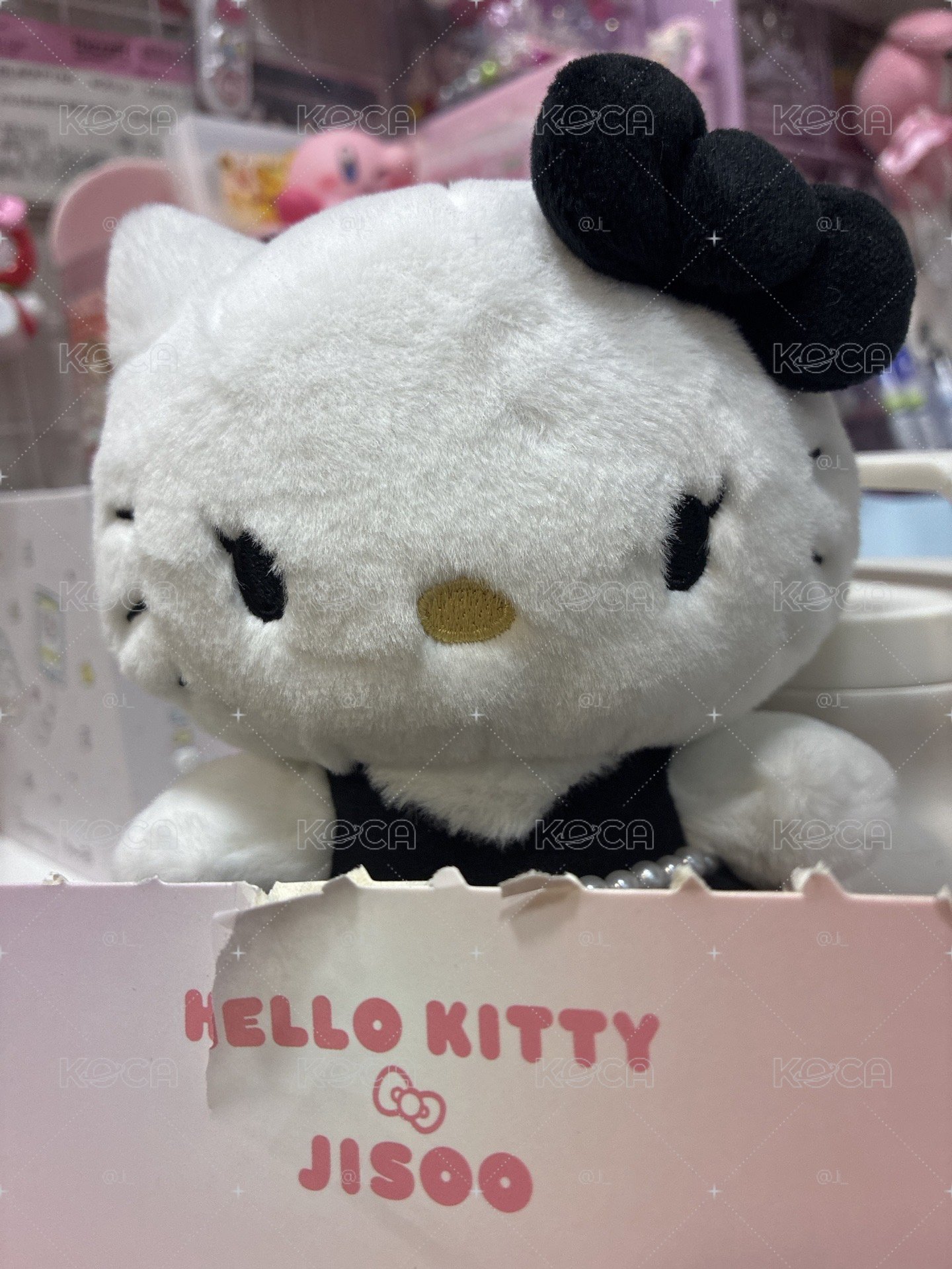 黑色Kt