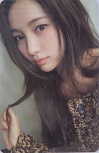 棕衣