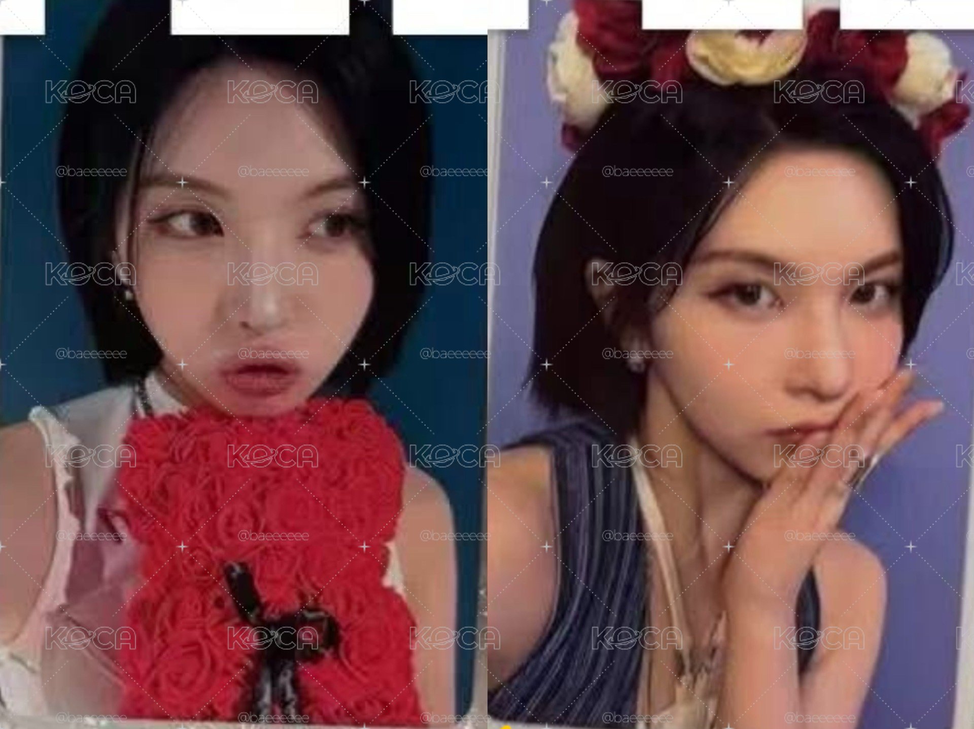 🐤NMIXX MS 玫瑰小熊+玫瑰花環 裴