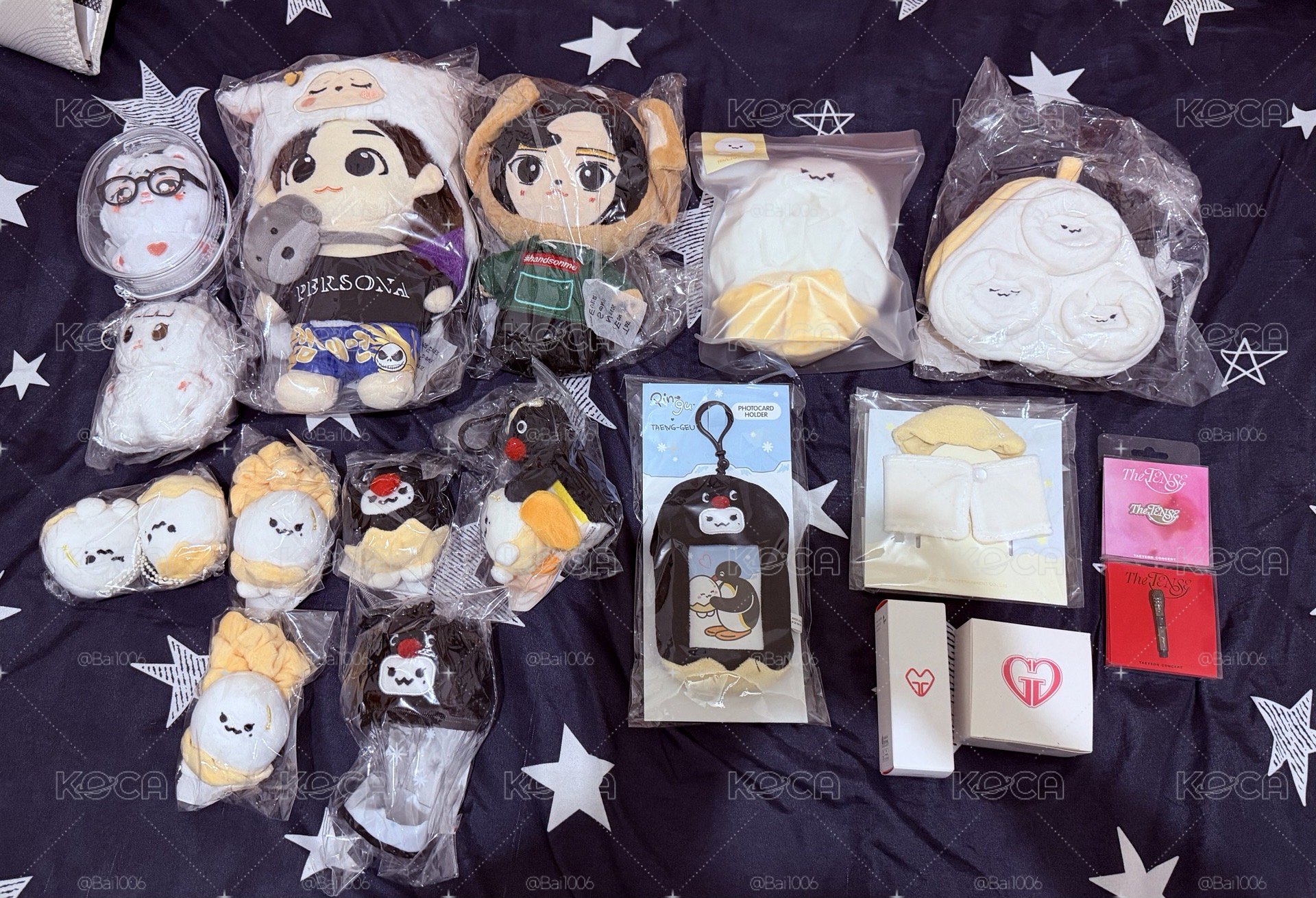 太妍全新週邊/娃