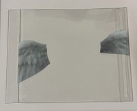 翅膀🪽-柒