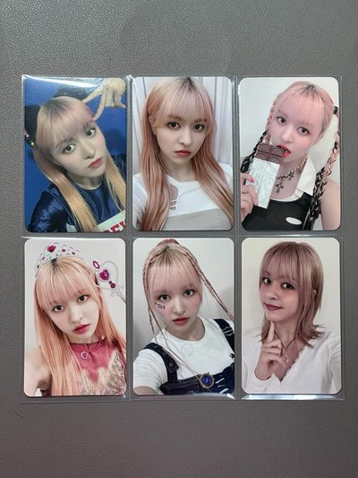 莉卡🐨