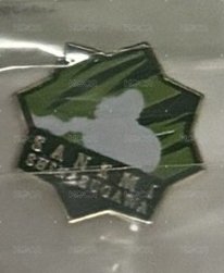 🔵實彌金屬別針 技能款（無原袋）