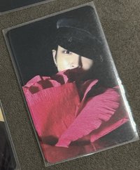 玫瑰中中（可當綁物）