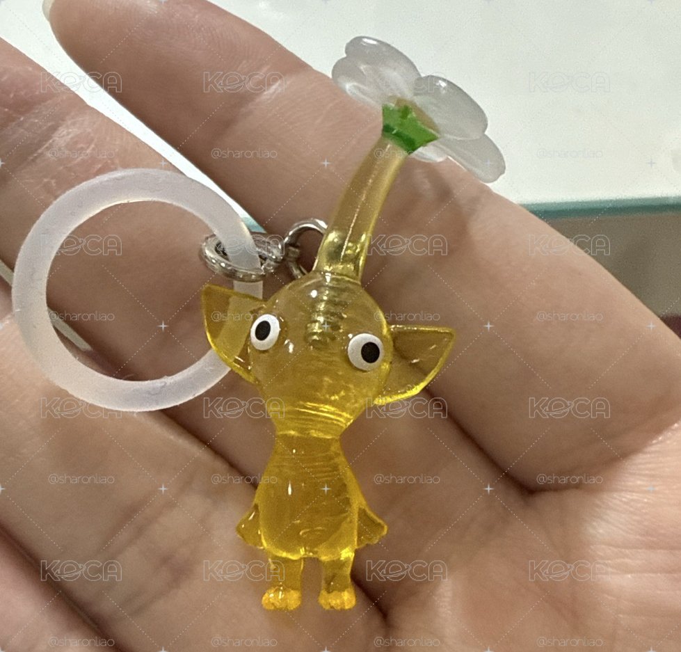 黃皮