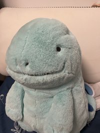 沼王