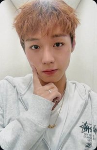 2026 FANCON el 卡夾 周邊卡 