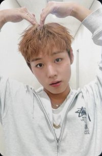 2026 FANCON el 手幅 周邊卡 