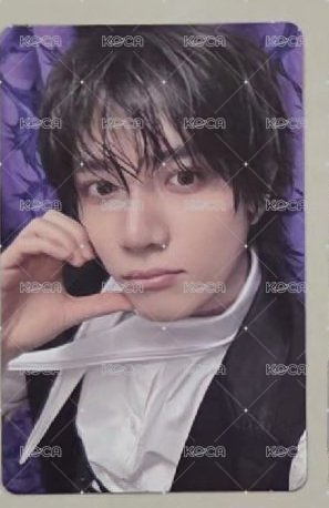 紫版 專卡圭