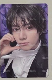 紫版 專卡圭