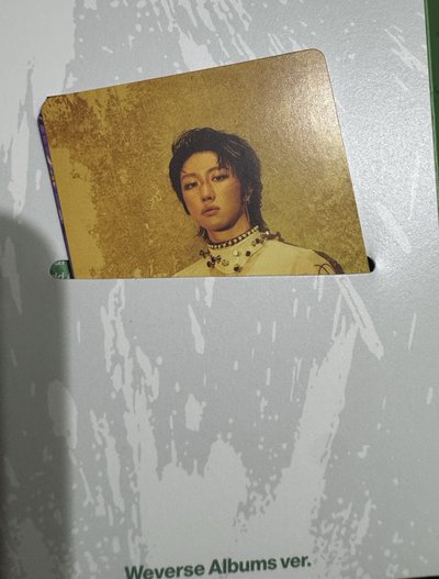 Seventeen 正五 電子專 Weverse album 俊勳八碩寛率
