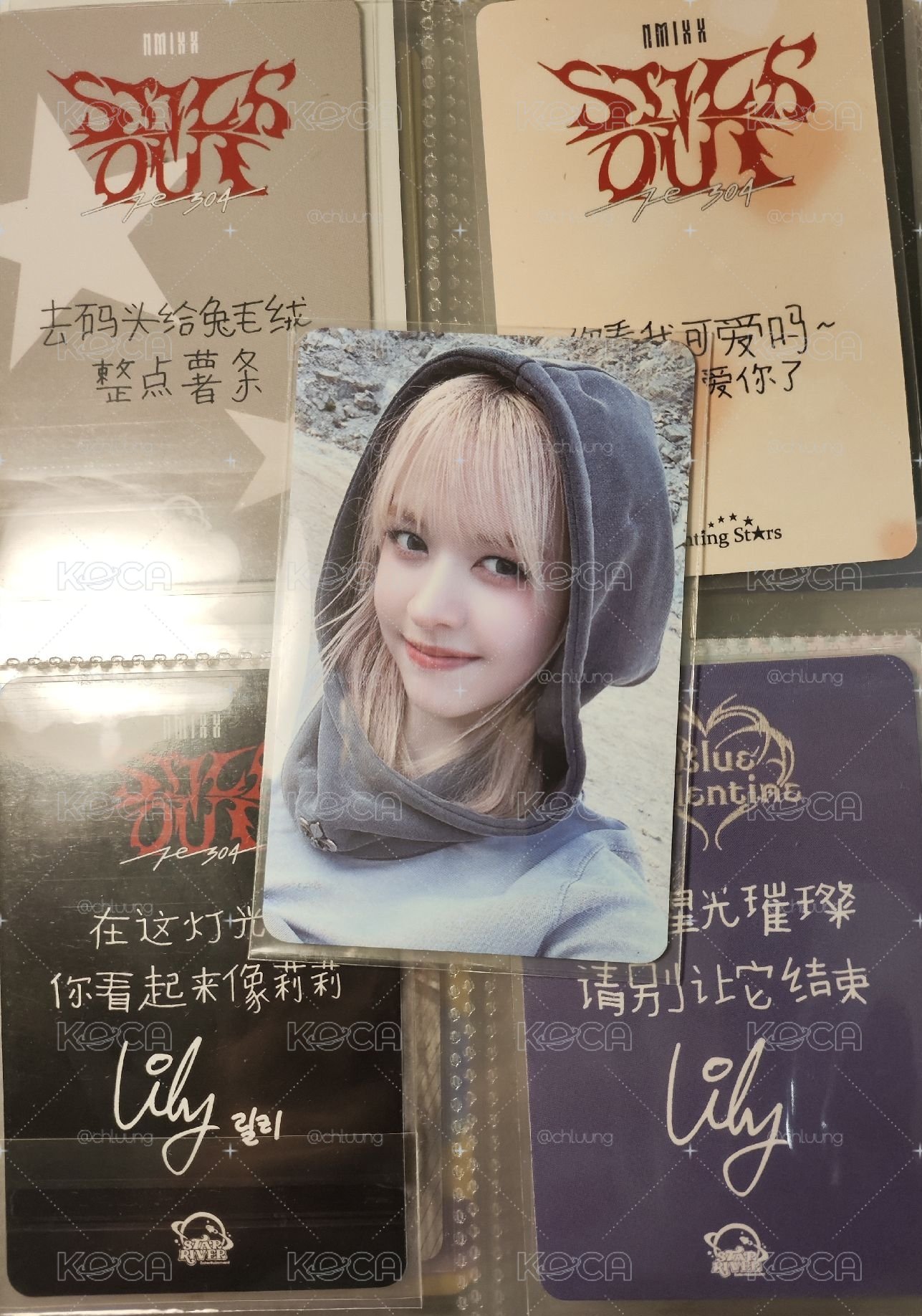 預售莉（價格含綁）