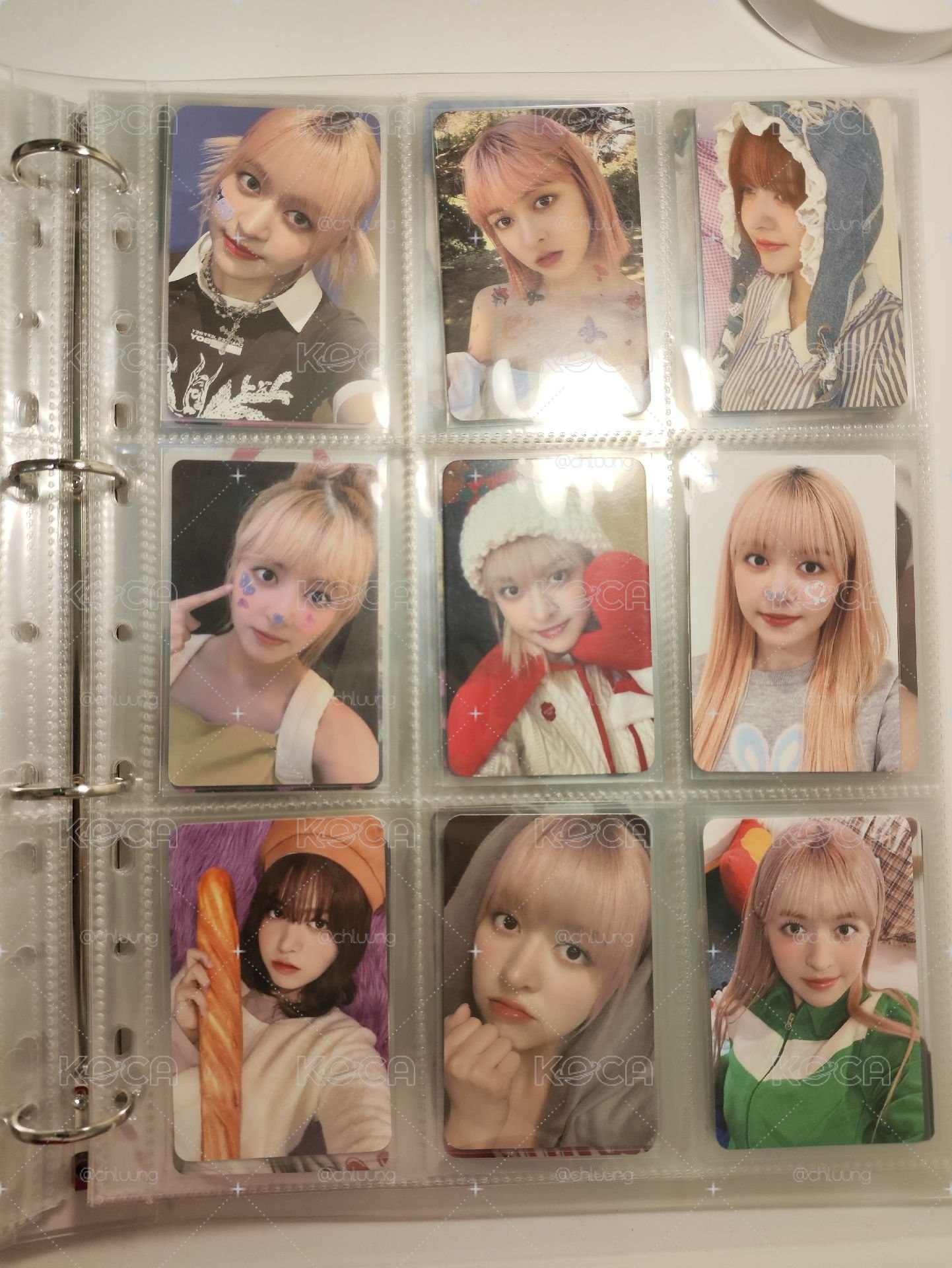 預售莉
