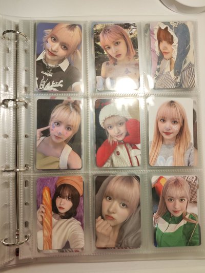 預售莉