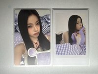優雅圭貓