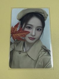 STICK OUT ms 幸運卡 楓葉 薛