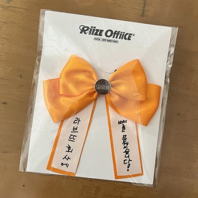 RIIZE 1000 DAYS FAN PARTY [RIIZE OFFICE] 手燈裝飾啾啾 二手