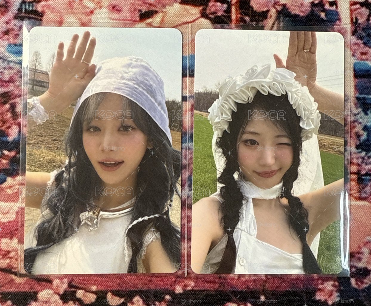 丹&娜wvs特典卡