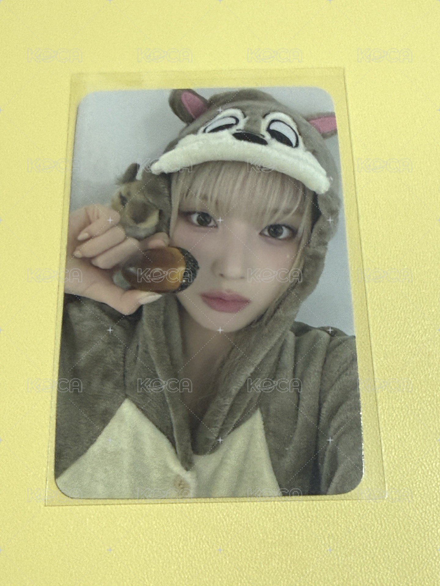STICK OUT sw 幸運卡 松鼠 友