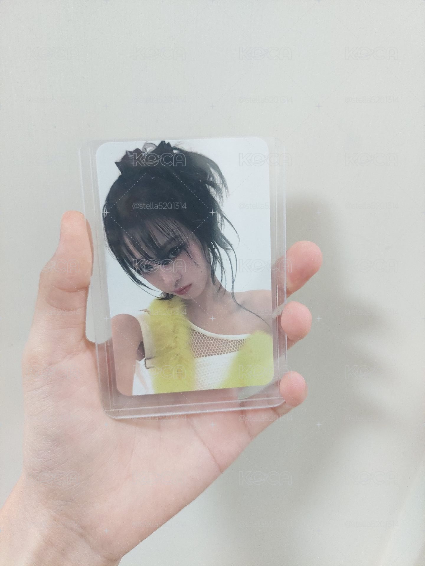 數星星賢