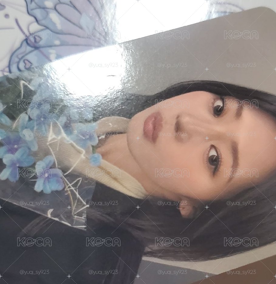 yg茶