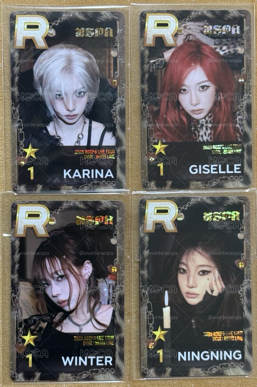 aespa RICH MAN遊戲卡 一套&單冬