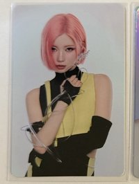角灰背