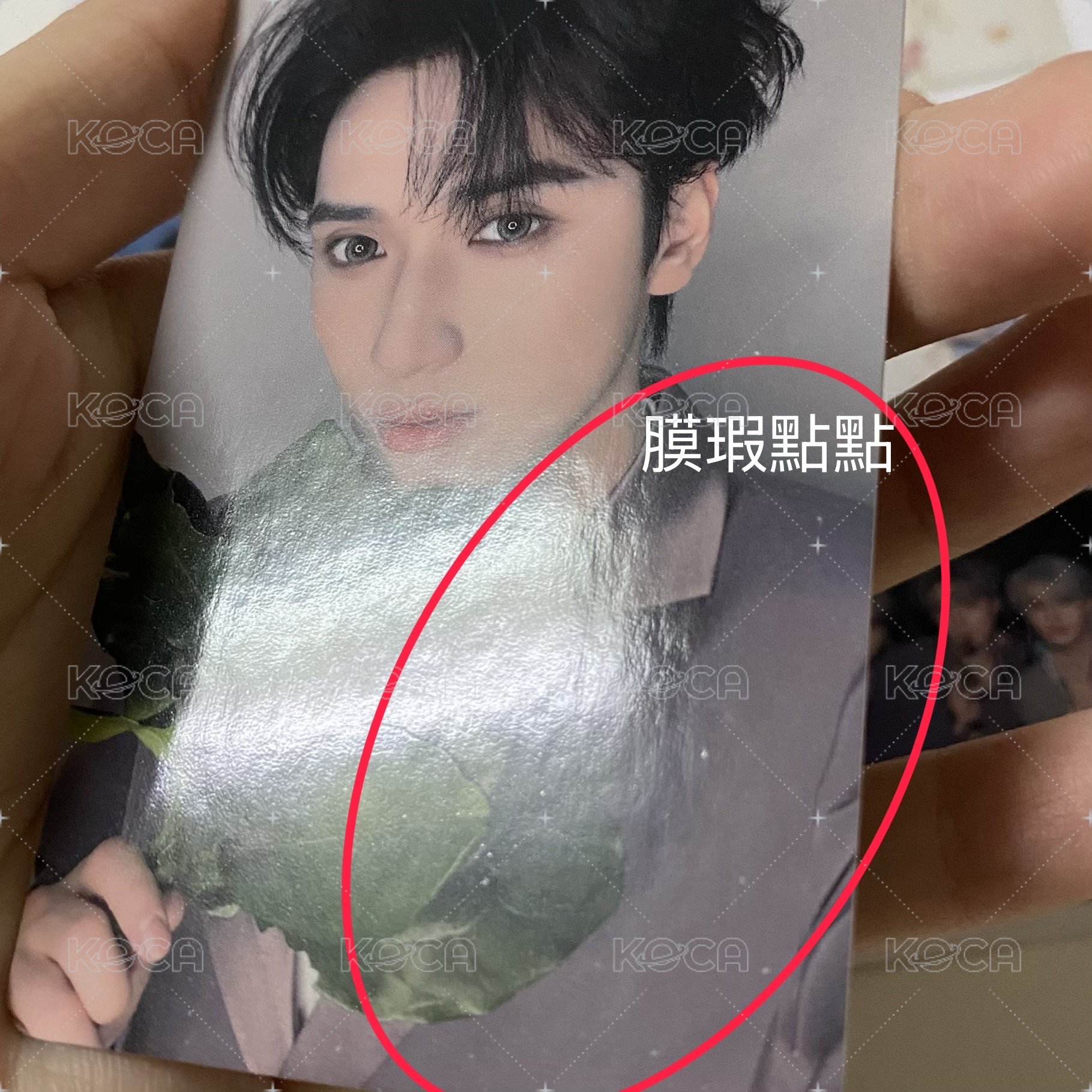 嚴葉子（瑕如圖