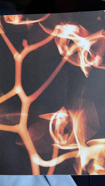 ｜代友售｜ I BURN Fire