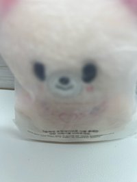 忙內on top