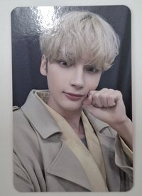 漂亮的貓貓拳
